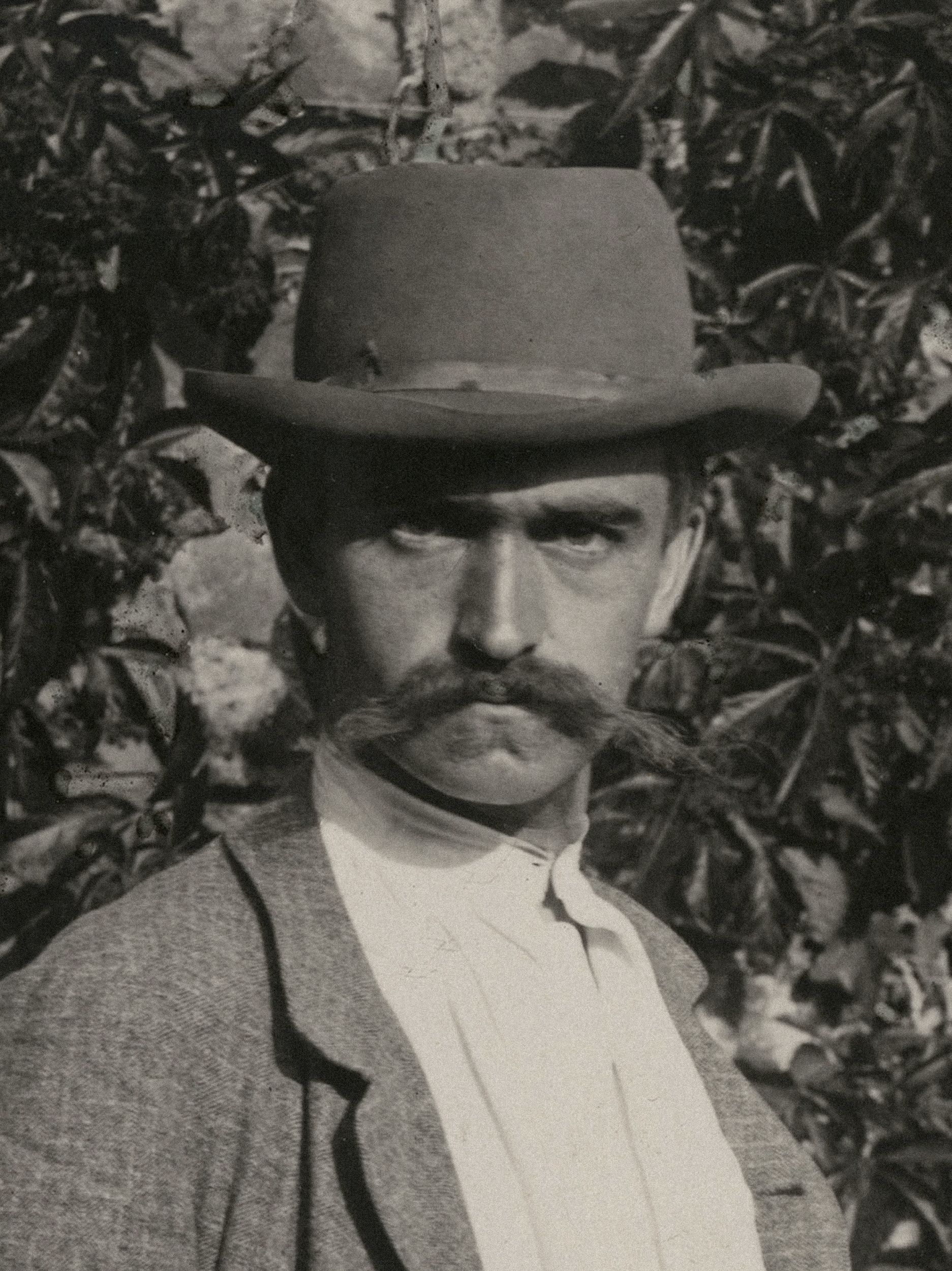 Karl Blossfeldt — Natural Design Archetypes
