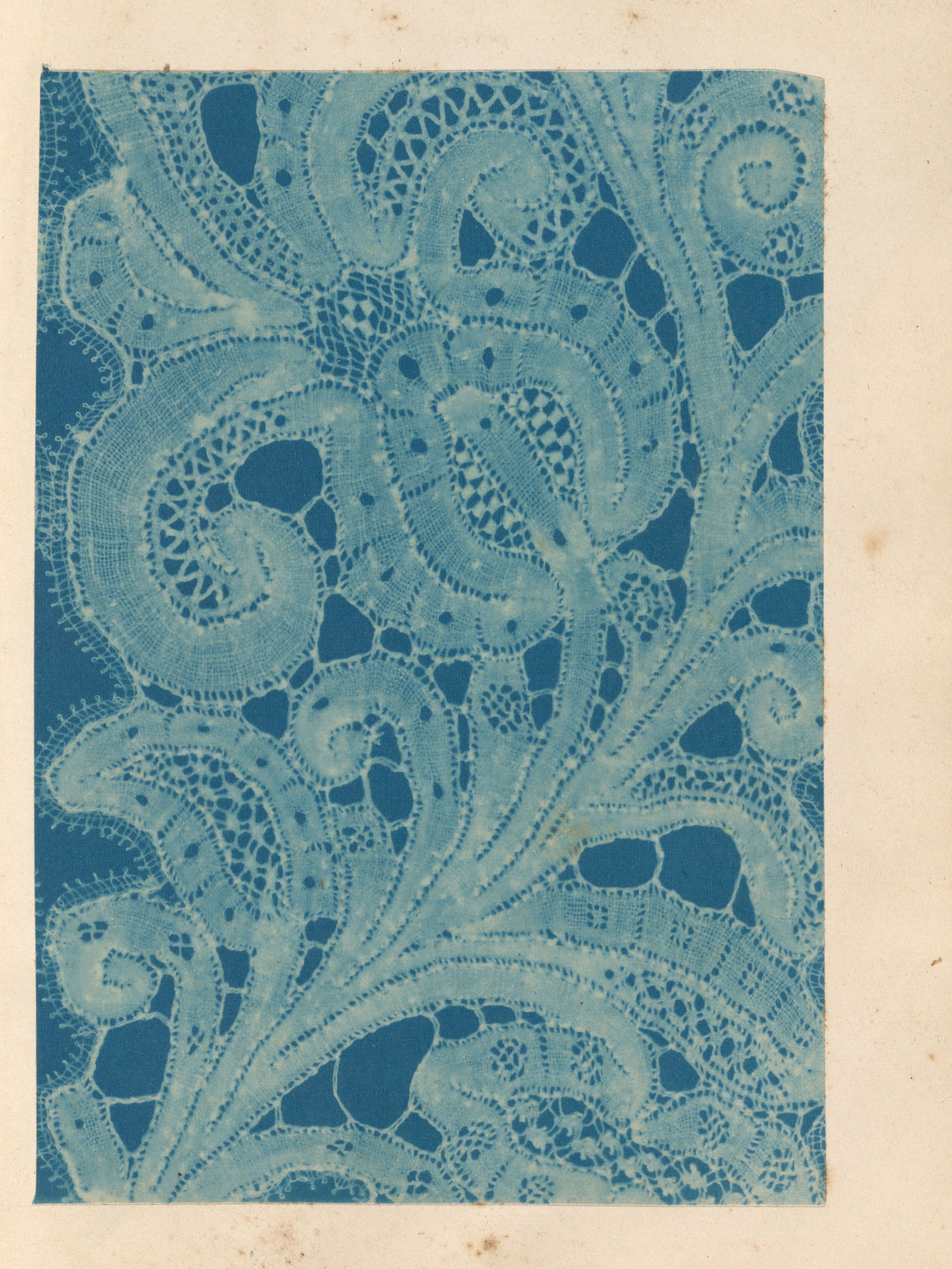 Cyanotype