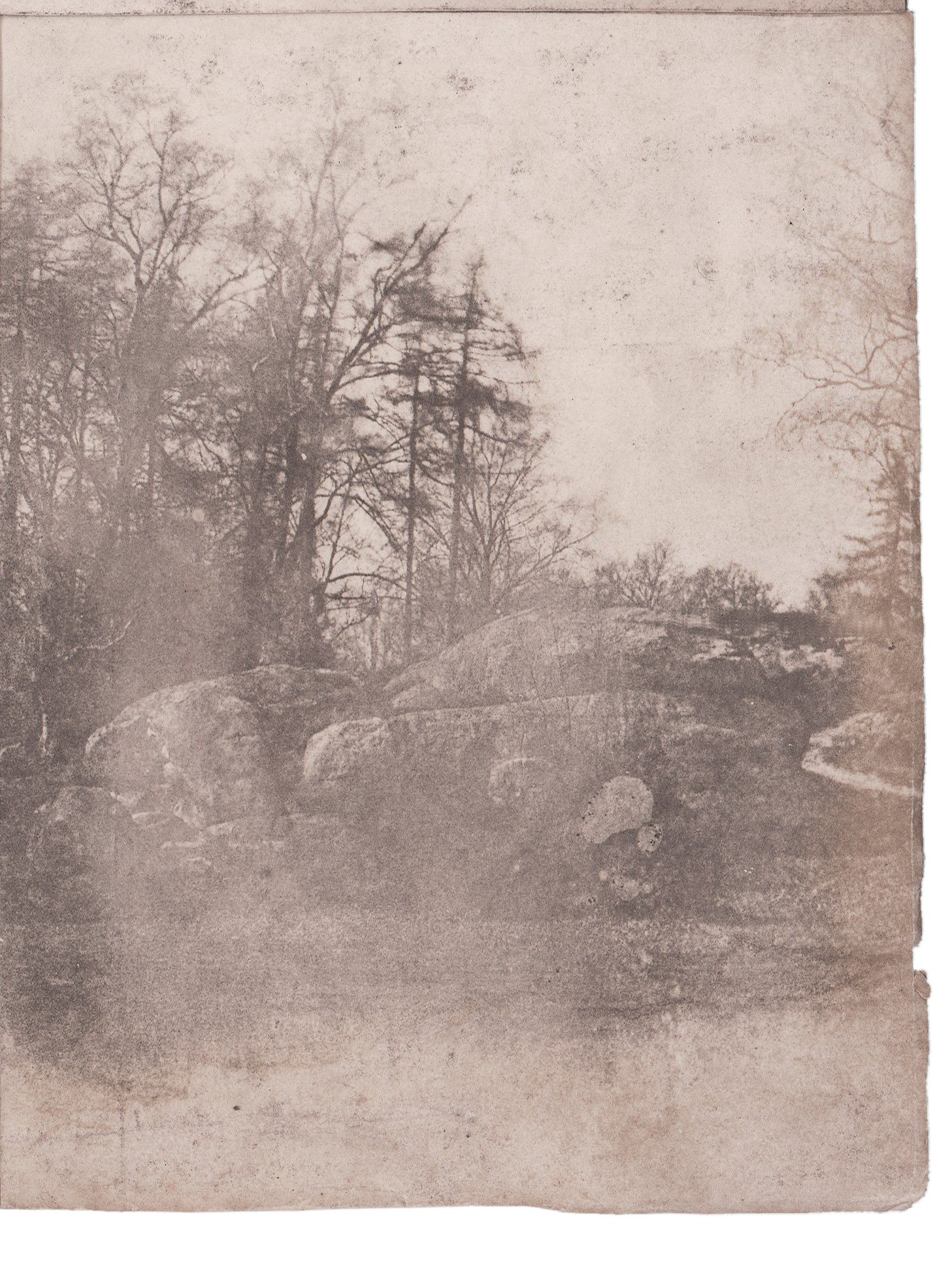 Calotype