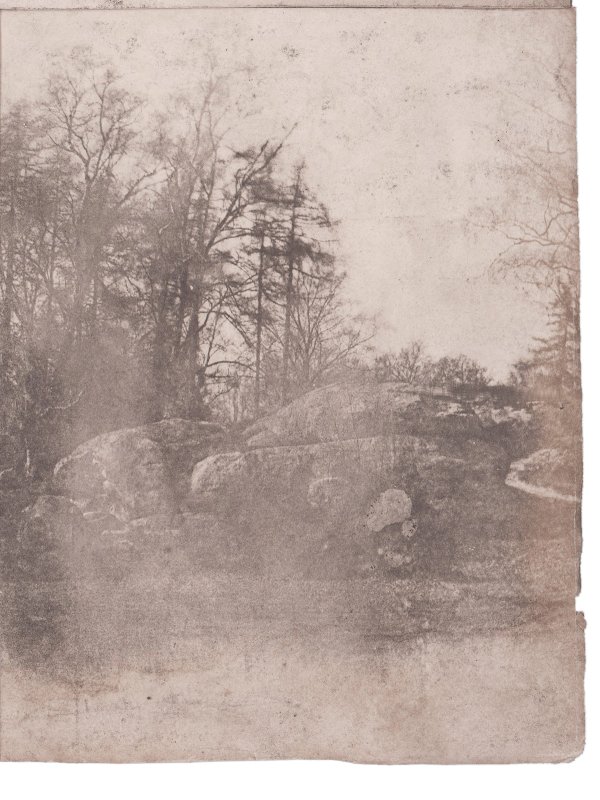 Calotype